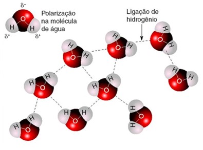 ligação de hidrogenio