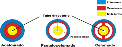 Sem título