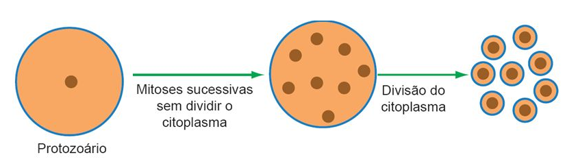 Esquema da divisão múltipla